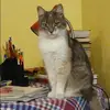 Отзыв от Катя Швецова